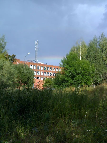 Татьяна Арзамасцева