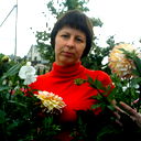 Елена Харитонова