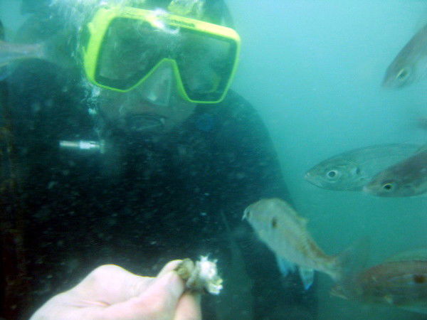 Андрей Карбушев