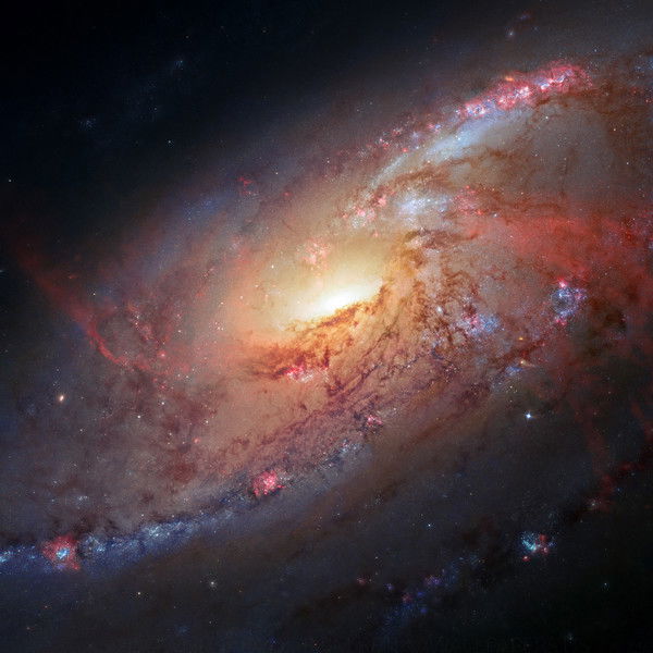 Влад Мешков