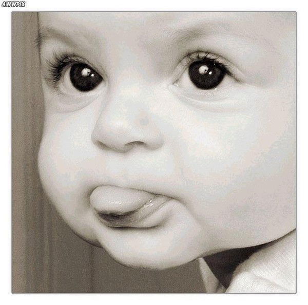 Антон Антон