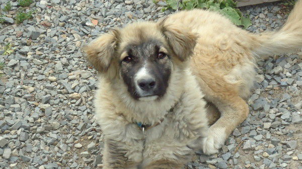 Андрей Винников