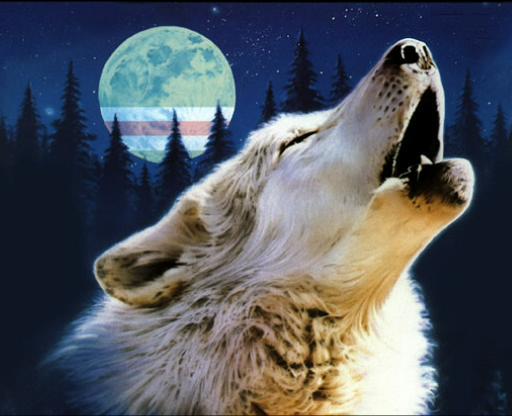 Алексей Соколов