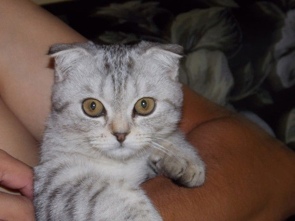 Наталья Темериева