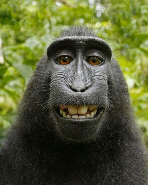 Иларион Якушов