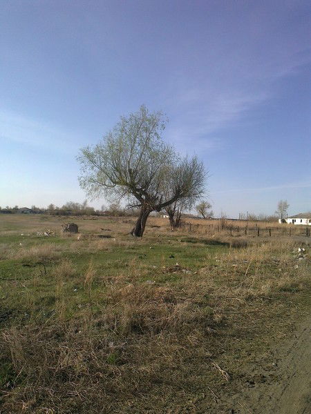 Юрий Ткачев