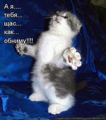 Ангелина Монжос