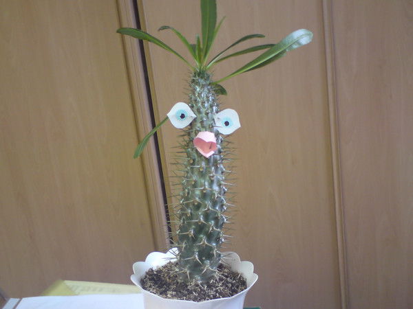 Ольга Павлова