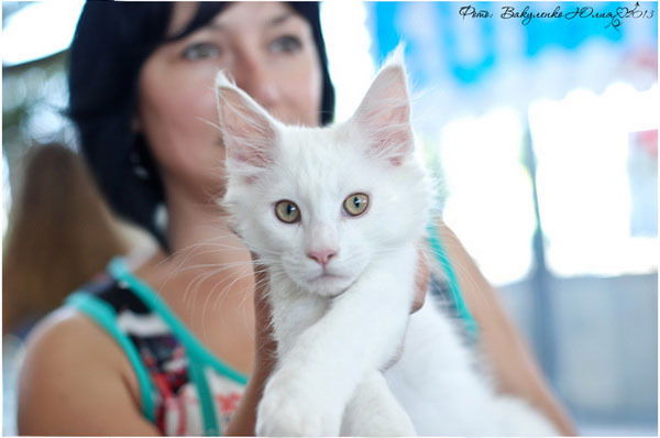 Оксана Близнюк