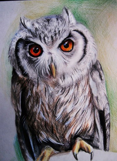 Алина Дорохова