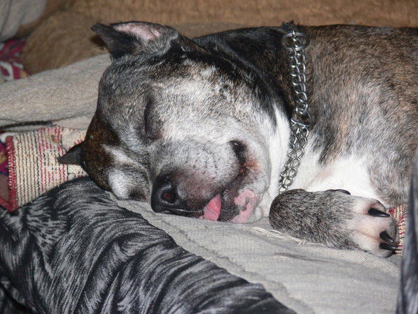 Марина Бандурина