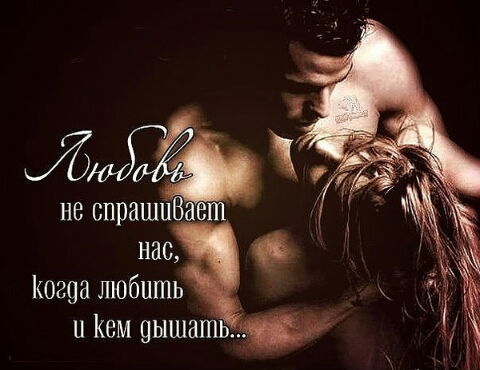 Волчара @@@@@