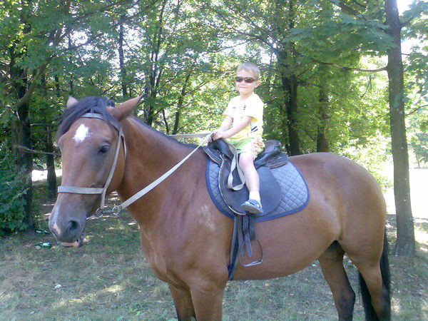 Денис Клоков