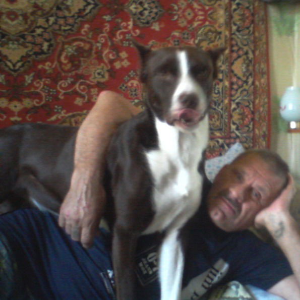 Александр Барсуков