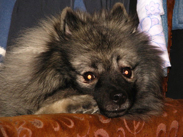 Юлия Иванова