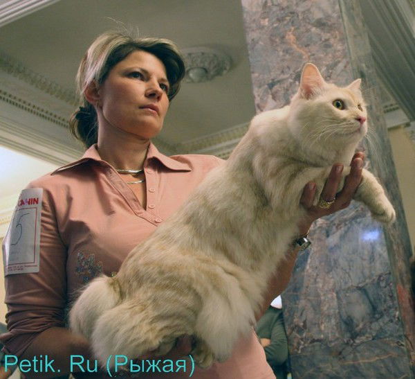 Татьяна Герасименко