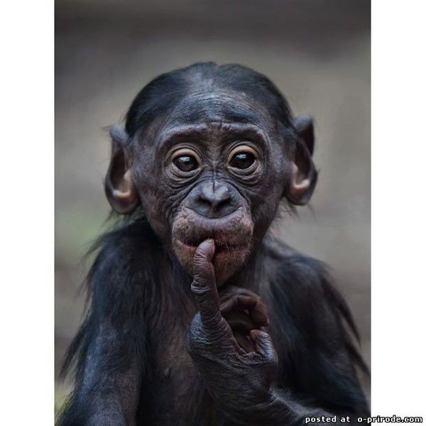 Юрий Маслов