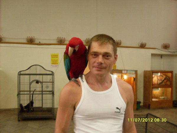 Алексей Лопата