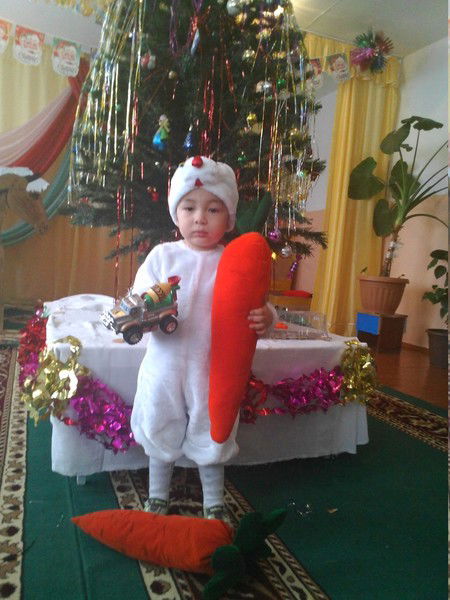 Толкын Сейсенбина