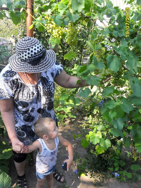 Клавдия Павлова