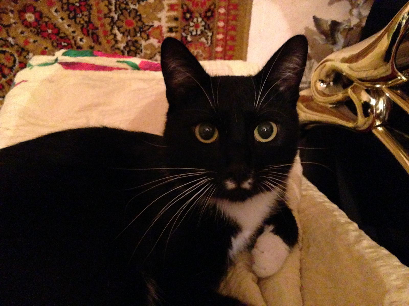 Алла Титова