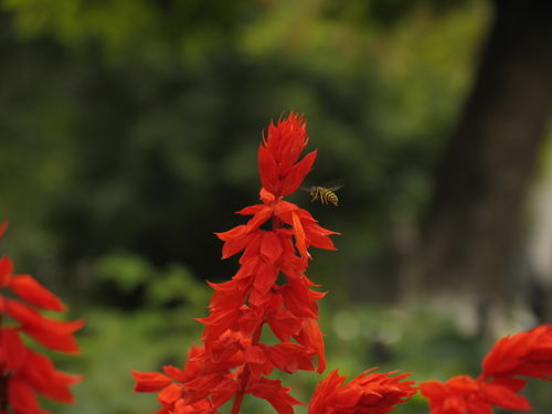 Ирина Щелаковская