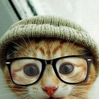 Элина Элина