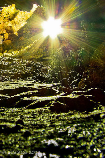 Евгений Сенченко