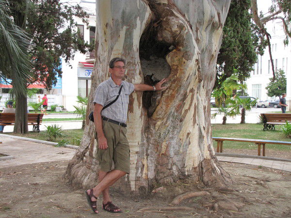 Алекс Дубровский