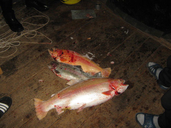 Сергей Albanec