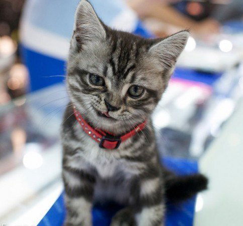 Юрка Новиков