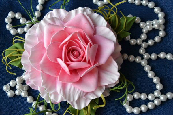 Светлана Бондаренко