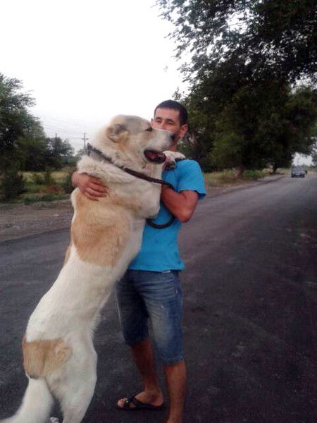 Виталий Антипенко