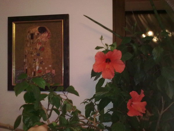 Ирина Капитоненко