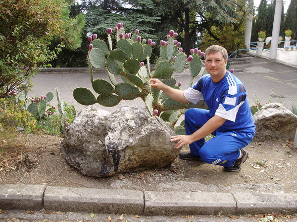 Юрий Устименко