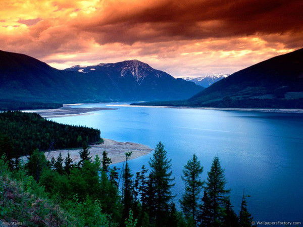 Оксана Глянцева