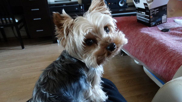 Геоцентр Ресурс