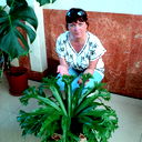 Тамара ****