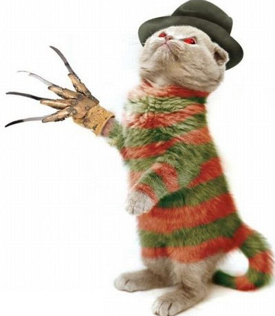 Полина Галиева