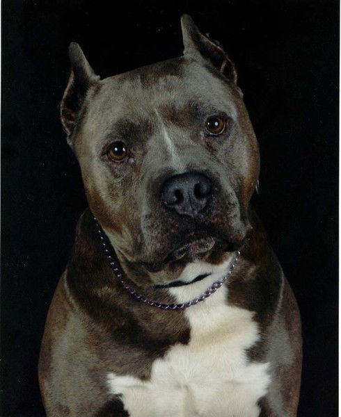 Олег Флерко