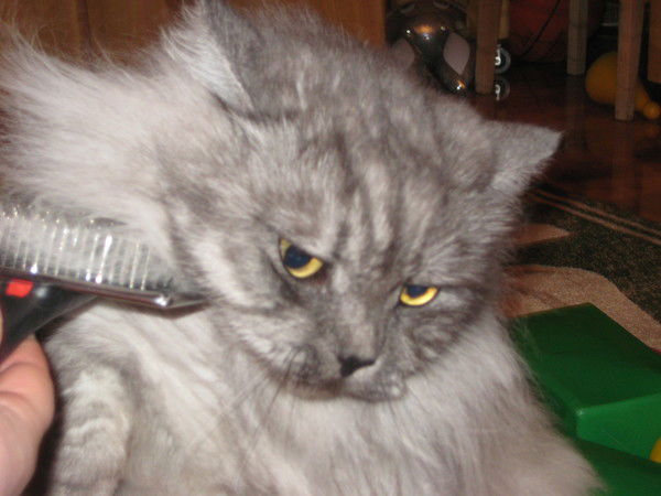 Дмитрий Орлов