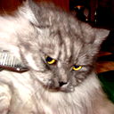 Дмитрий Орлов