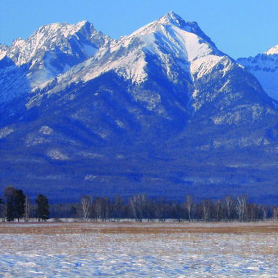 Юлия Булдакова