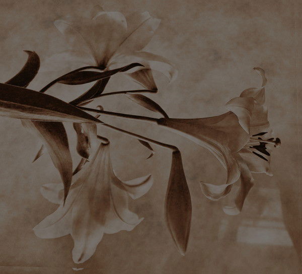 Анна Бабурина