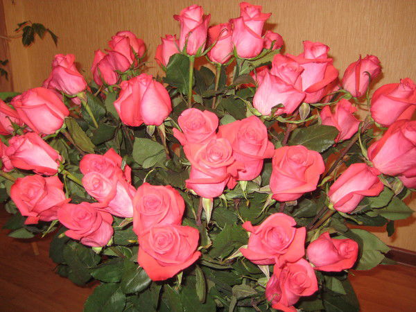 Юля Щербинина