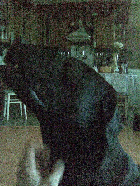 Николай Климов