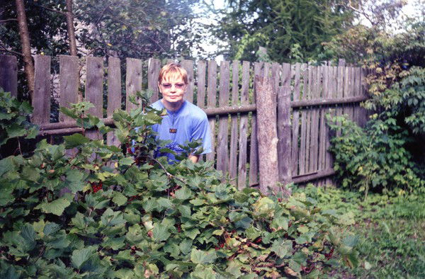 Елена Соколова