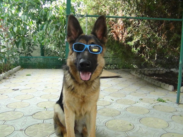 Света Быкова