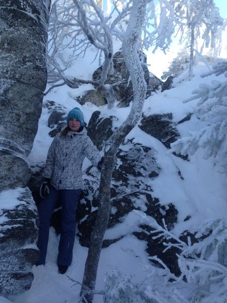 Янушка Майер