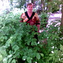 Галина Гордина